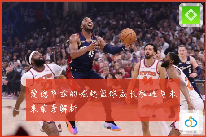 爱德华兹的崛起篮球成长轨迹与未来前景解析