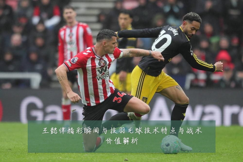 王懿律精彩瞬间与技羽毛球技术特点与战术价值解析