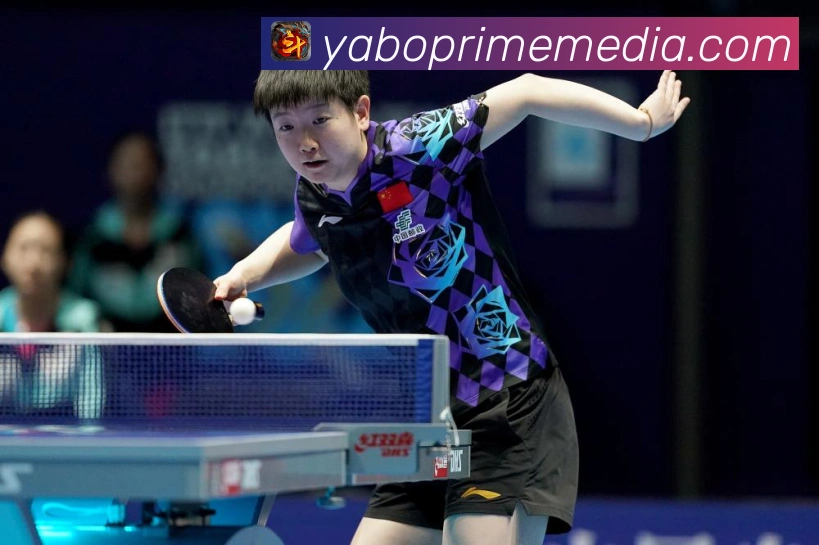 杜普莱西MMA职业生涯全解析及格斗风格解析